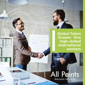 global talent stream image