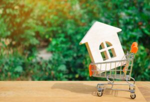 Wooden house in a Supermarket trolley.